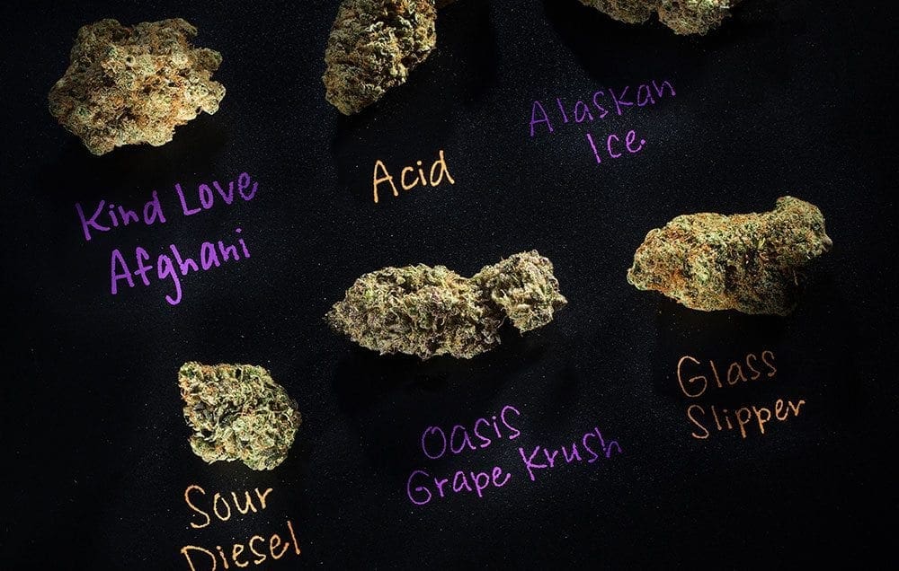 cannabis bud strains