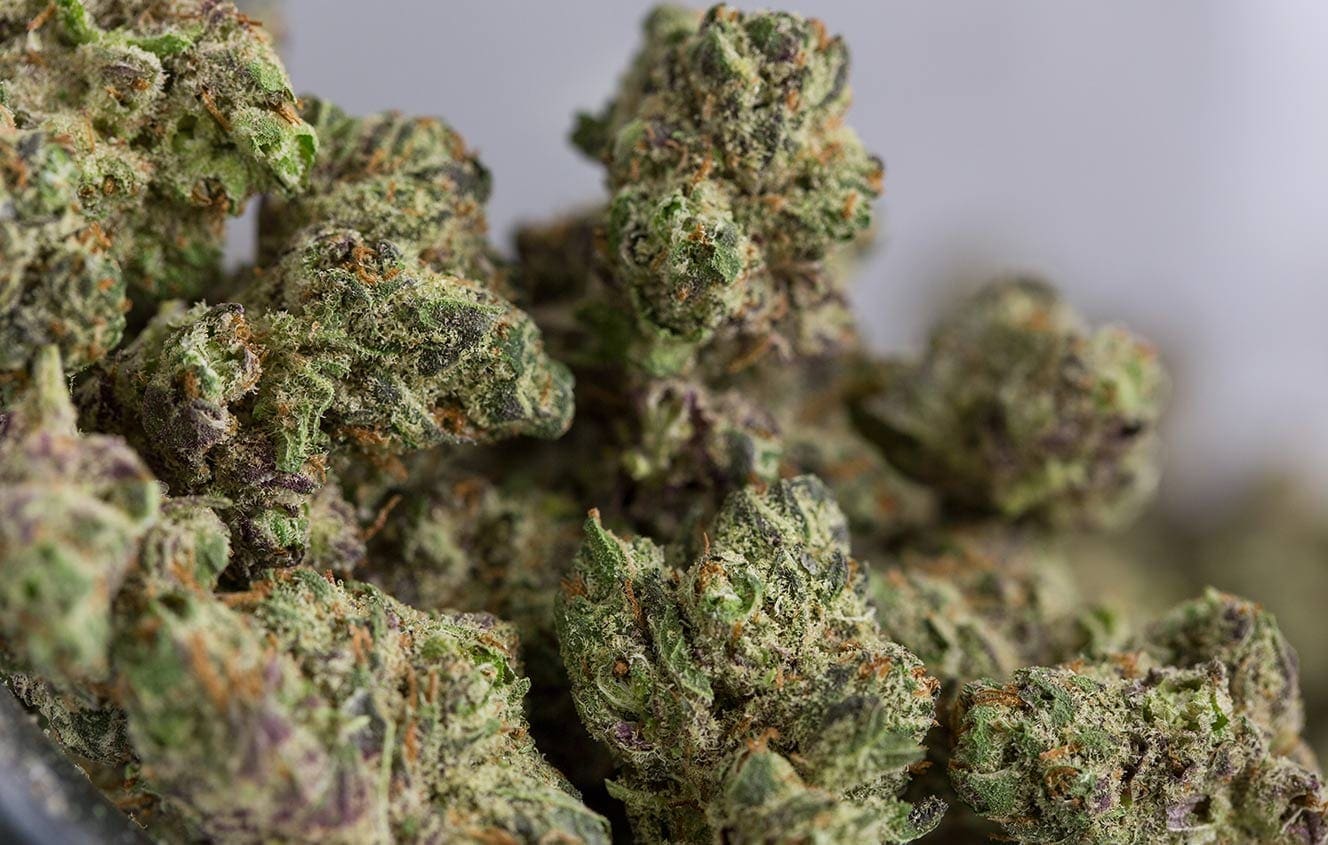Oasis South Denver Dispensary- Marijuana Bud Closeup