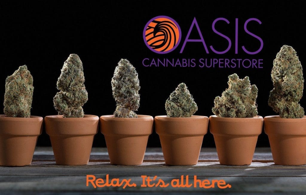 Oasis Cannabis Superstore art image with flower pots and cannabis buds.