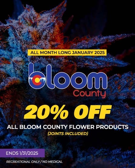 Bloom Flower -Deal ends 1/31/2025