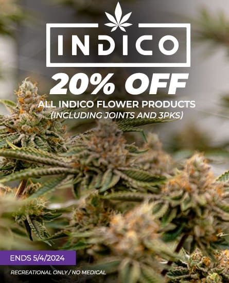 Indico 20% off. Deal ends 5-4-24