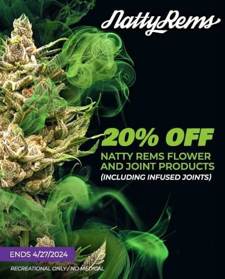 Netty Rems flower 20 % off. Ends 4-27-24