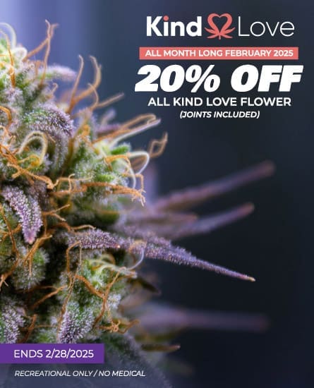 Kind Love Flower Deal February 2025